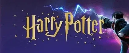 📚✨Harry Potter Book Series