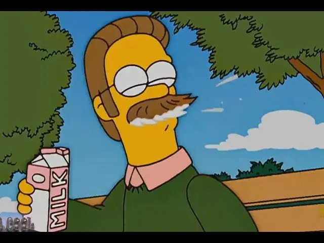 Ned Flanders